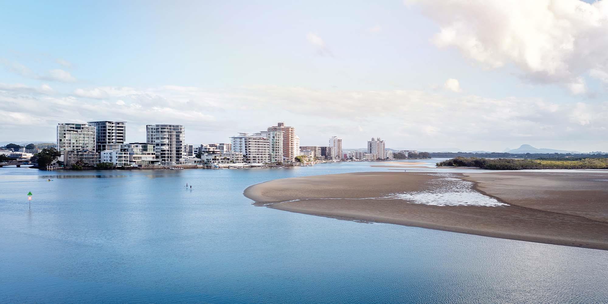 birds eye view of cotton tree